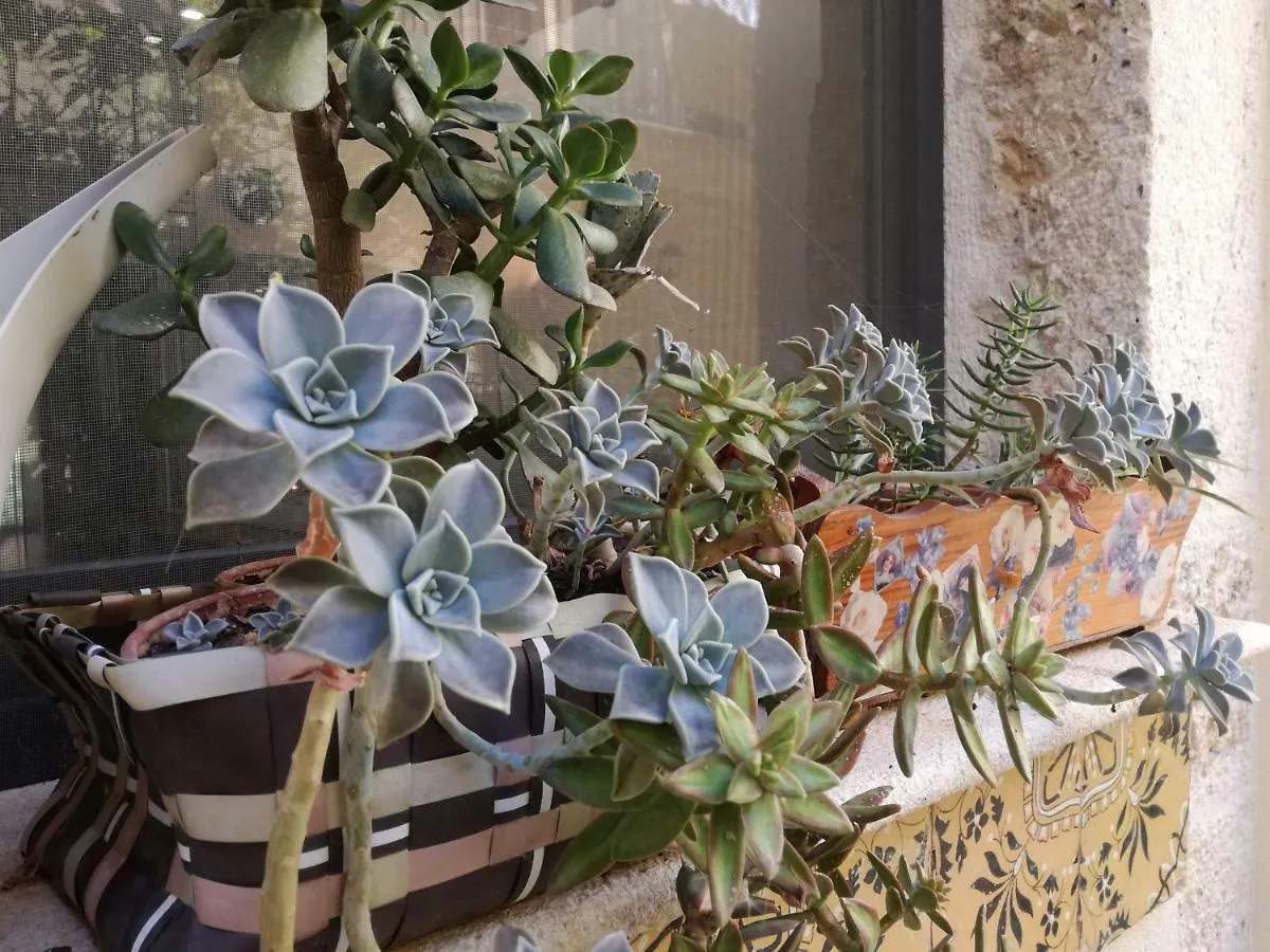 Residenza Bagolino Apartment Alcamo 0*,