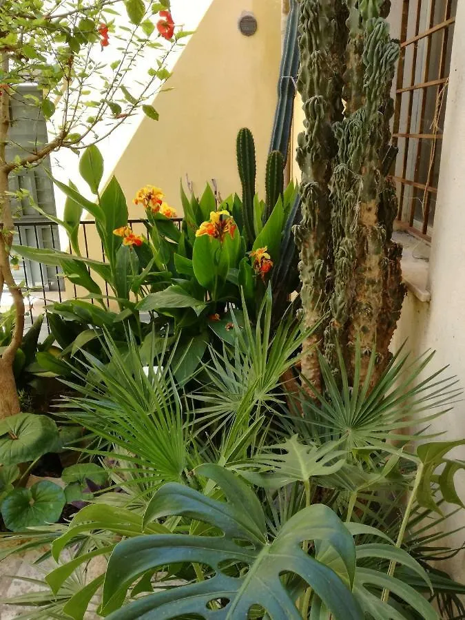 Residenza Bagolino Apartment Alcamo 0*,